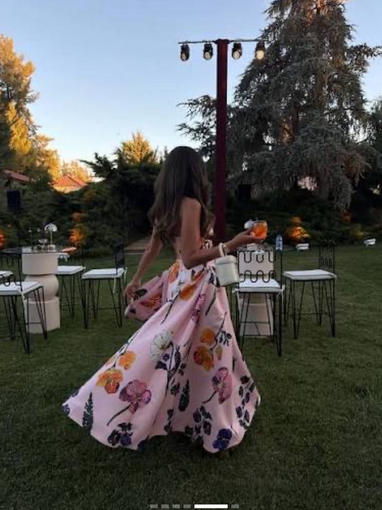 Leo Lin Dresses & Skirts - Leo Lin Violet Bustier Maxi Dress in Wildbloom AU8/US4